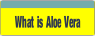 What is Aloe Vera.